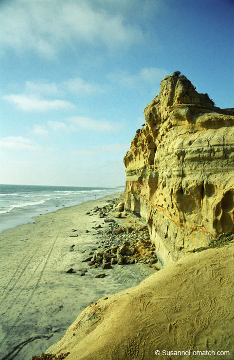 "Torrey Pines"